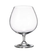 Colibri Cognac glazen - 690 ml. - 6 stuks