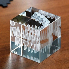 Glazen Kubus Gegraveerd 3D-Kaak-80 mm
